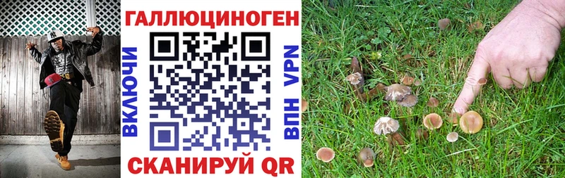 что такое   Томск  Галлюциногенные грибы ЛСД 